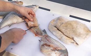 Best Heavy-Duty Fillet Table For Large Fish