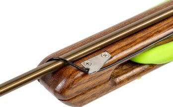 Best Speargun For Spearfishing In Saltwater