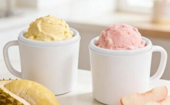 Best Ice Cream Machine For Home Use