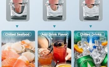 Best Commercial Ice Maker