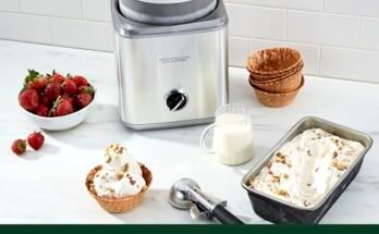 Best Automatic Ice Cream Maker Machine