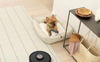 Best Robot Vacuum For Thick Carpet