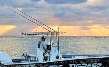 Best Heavy Duty Telescopic Outrigger Poles