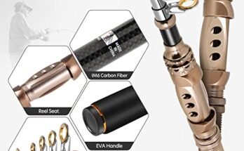 Best Fishing Pole For Saltwater Fishing