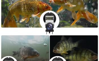 Best Fishing Camera for Live Viewing
