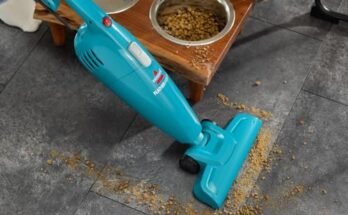 Best Stick Vacuum For Apartments