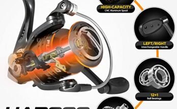 Best Spinning Fishing Rod