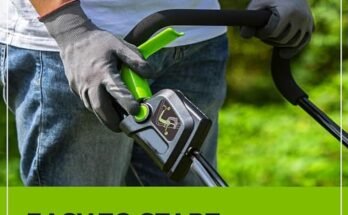 Best Lawn Mower For Beginners