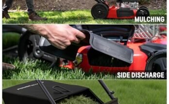 Best Budget Lawn Mower