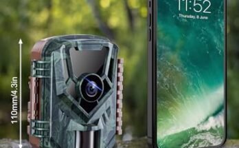 Best Budget Trail Camera