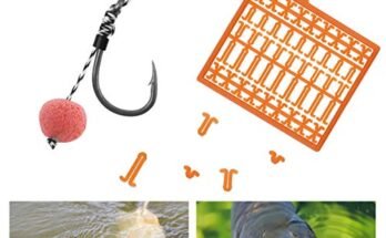 Best Fishing Hooks For Carp Fishing