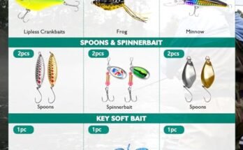 Best Fishing Lures For Freshwater Fishing