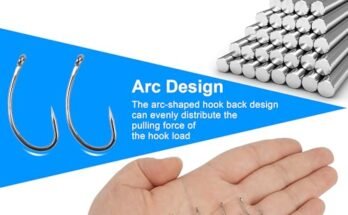 Best Circle Hooks For Catch And Release Fishing