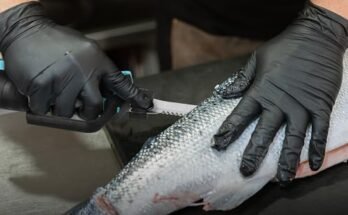 Best Electric Fillet Knife For Saltwater Fish