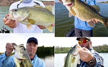 Best Telescopic Outrigger Poles For Kayak Fishing