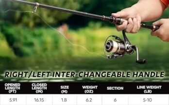 Best Telescopic Fishing Rod
