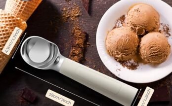 FrostJoy Heated Ice Cream Scoop Rechargeable Review
