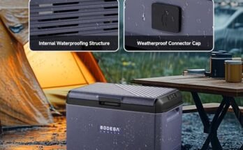 BODEGA 12v Car Refrigerator Review