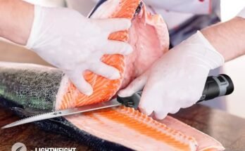 Best Cordless Electric Fillet Knife