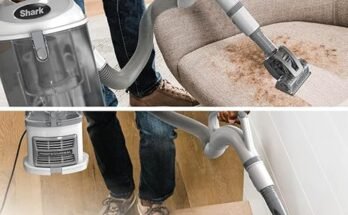 Best Vacuum For Pet Hair