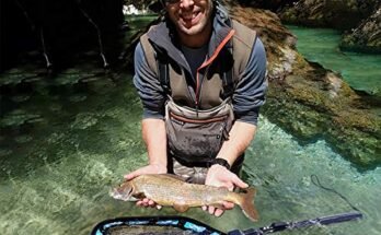 Best Fishing Net For Bass Fishing