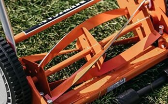 Best Push Mower For Tall Grass