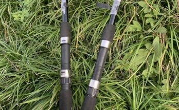 Best Fishing Pole For Beginners