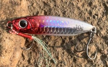 Best Fishing Lures For Saltwater Fishing