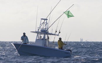 What Is Kite Fishing And How Does It Work?