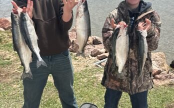 Is Kite Fishing Legal In Most Areas?