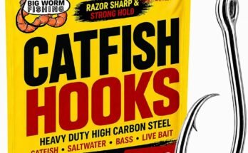 What Equipment Do You Need For Freshwater Fishing?