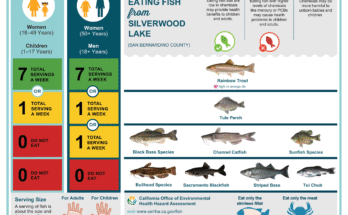 Where Can You Do Freshwater Fishing Legally?