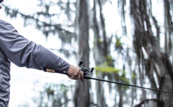 Is Pitch Fishing Effective In Heavy Cover?
