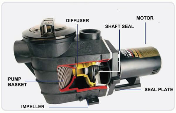 Swimming Pool Pump Problems Troubleshooting: Fix Fast Guide - Fission ...