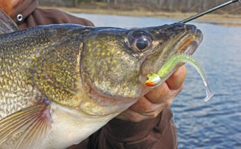 What Is The Best Distance For Pitch Fishing?