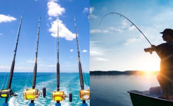 Difference Between Freshwater And Saltwater Fishing