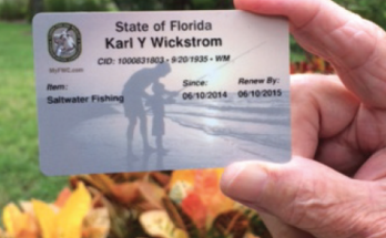 Do You Need A License For Freshwater Fishing?
