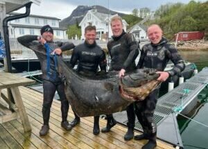 Do You Need A License For Spearfishing?