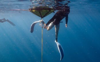 What Is Freediving And How Is It Used In Spearfishing