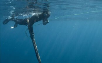 How Do You Start Spearfishing As A Beginner?