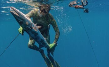 What Fish Can You Catch While Spearfishing?