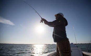 What Is The Best Time For Freshwater Fishing