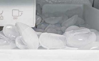 Kenmore Coldspot Refrigerator Model 106 Troubleshooting