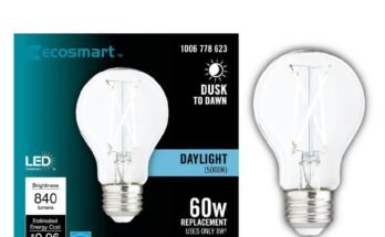 Ecosmart Dusk To Dawn Light Bulbs Troubleshooting
