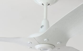 Haiku Fan Troubleshooting