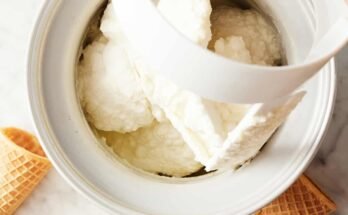What Ingredients Are Needed For An Ice Cream Machine