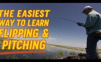 When Should You Use Pitch Fishing Instead Of Casting?