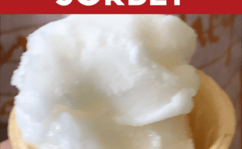Can An Ice Cream Machine Make Sorbet