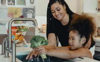 Kohler Touchless Faucet Troubleshooting