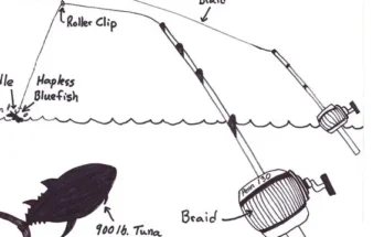 What Fish Can You Catch With Kite Fishing?